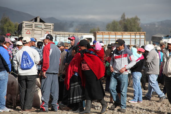 Veemarkt in Riobamba